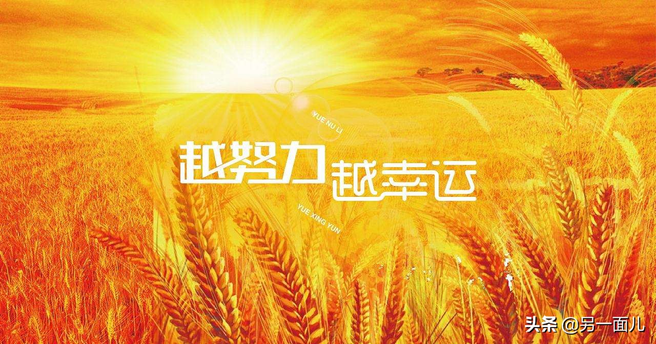 今日特码科普！家校社体育一体化,百科词条爱好_2024最快更新