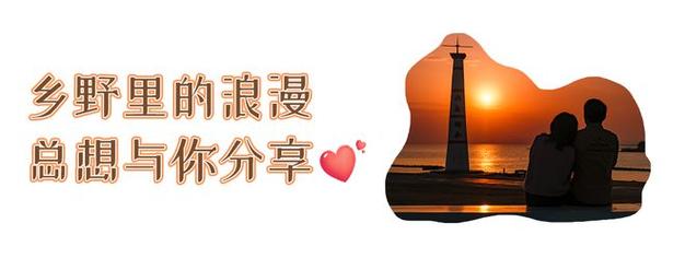 今日特码科普！澳门王中王网站,百科词条爱好_2024最快更新