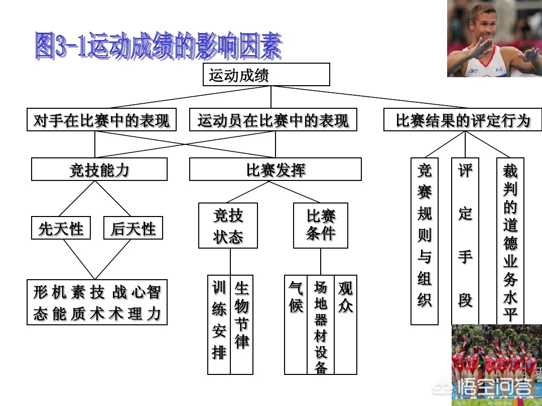 今日特码科普！体育生都练啥,百科词条爱好_2024最快更新